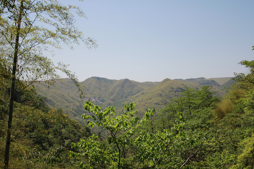 登高望遠
