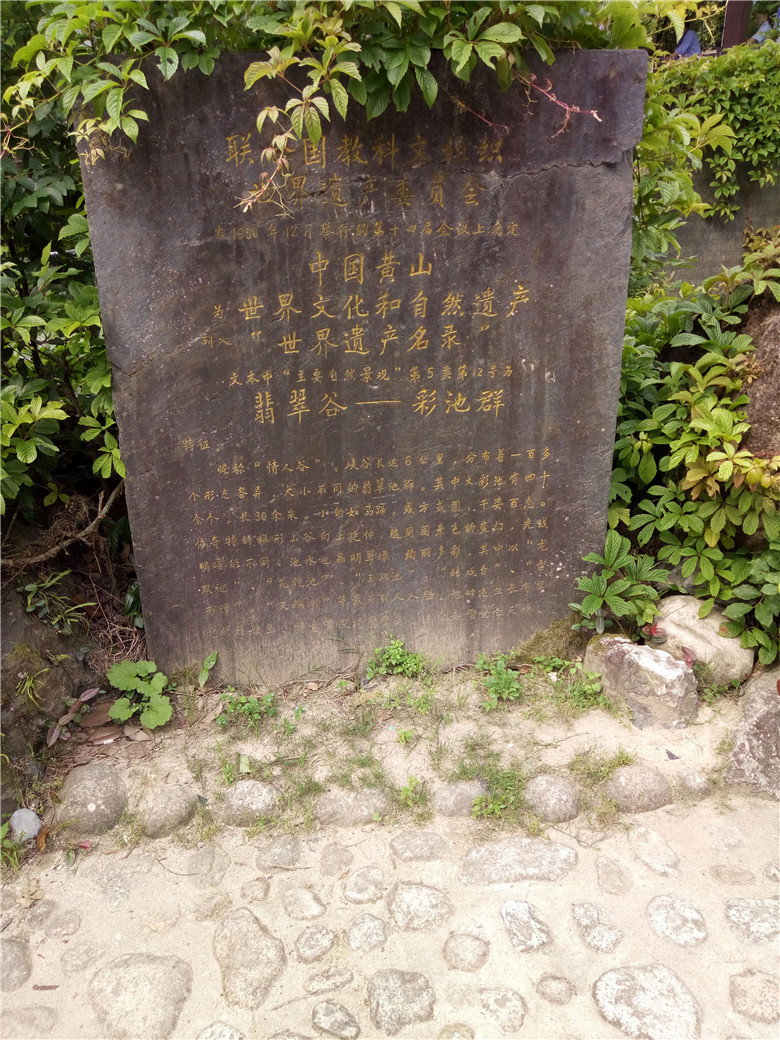 翡翠谷2-(1)