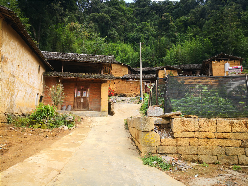 關(guān)愛小學(xué) (1)